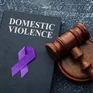 dv-law-book-purple-ribbon